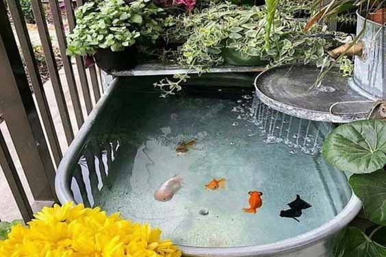 small fish pond design ideas